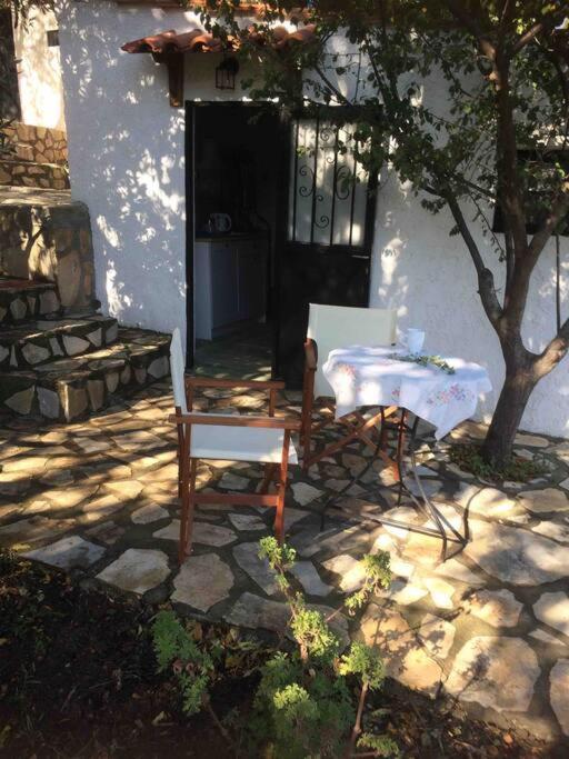 Theisoa.Old Little House In The Garden . Andritsaina. Βίλα Εξωτερικό φωτογραφία