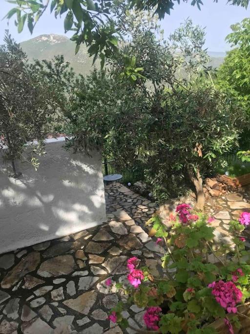 Theisoa.Old Little House In The Garden . Andritsaina. Βίλα Εξωτερικό φωτογραφία